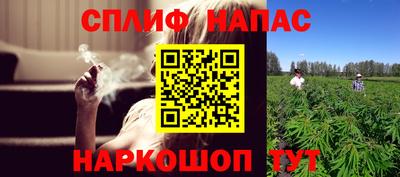 сатива Ярославль