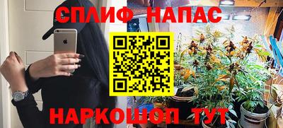 дживик Шелехов