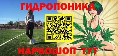 дживик Шелехов