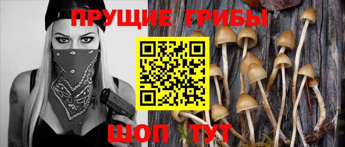 Кубинка  Псилоцибиновые грибы MAGIC MUSHROOMS  Вход с VPN  Псилоцибиновые грибы мухоморы 